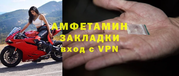 сатива Аркадак