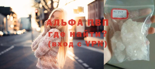 молекула духа Арсеньев