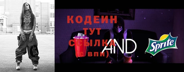 молекула духа Арсеньев