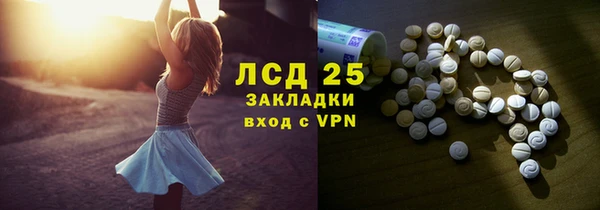 молекула духа Арсеньев