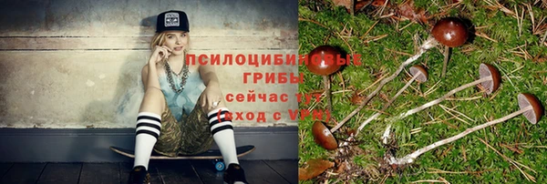 сатива Аркадак