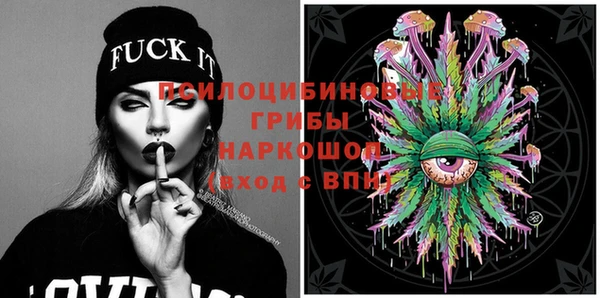 молекула духа Арсеньев