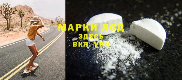 молекула духа Арсеньев