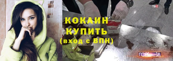 молекула духа Арсеньев