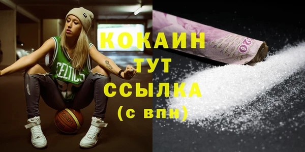 молекула духа Арсеньев