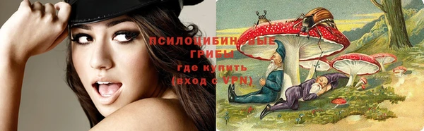 сатива Аркадак