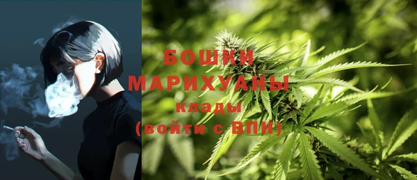 сатива Аркадак