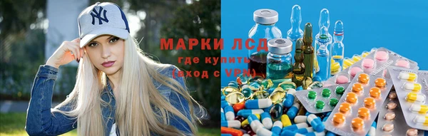 молекула духа Арсеньев