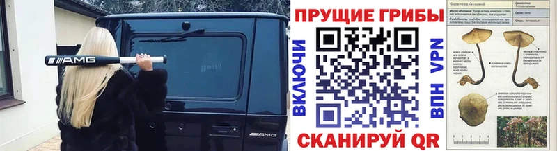 Псилоцибиновые грибы Cubensis  наркотики  Холмск 